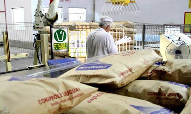 Uruguay: Buena demanda para los lácteos con precios que “alientan”