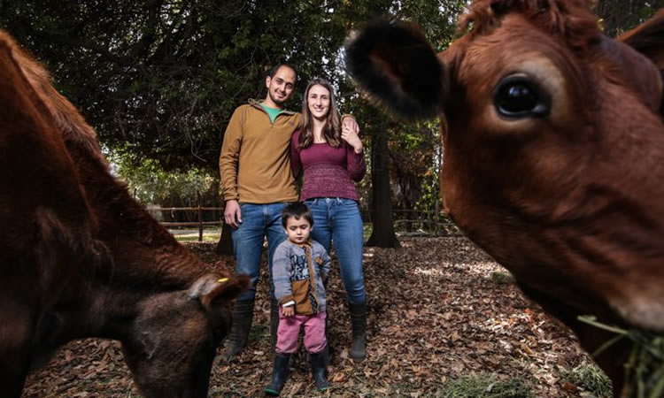 La casa de los quesos de “vacas felices”