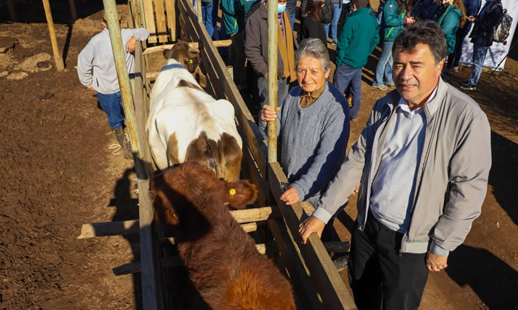 Ministro Valenzuela declara a la región de Valparaíso libre de brucelosis bovina