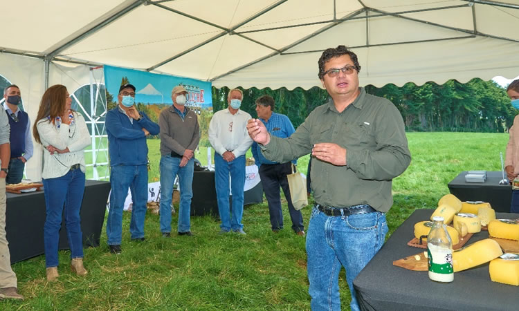 Grupo lechero y agrícola Chilterra entra en reorganización judicial