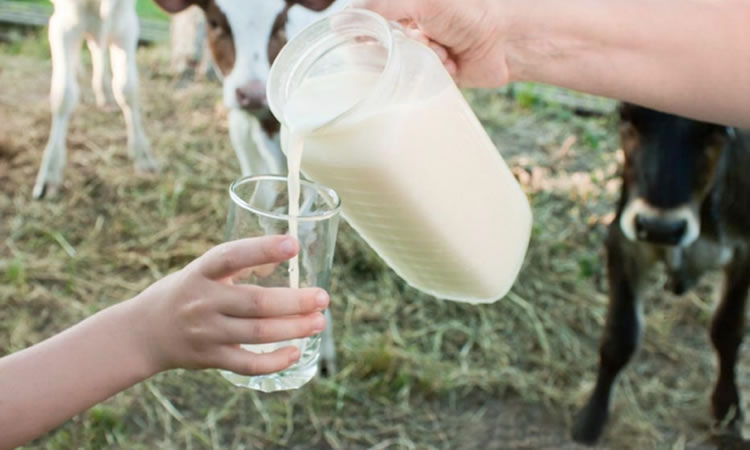 Nutricionista explica los beneficios de la leche de vaca y no recomendó la alternativa vegetal en niños