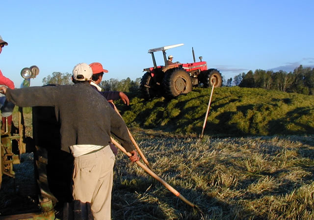 Opinión: “Reforma tributaria y agricultura”