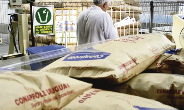 Uruguay: La facturación de lácteos exportados creció un 25%