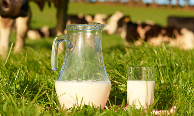 A partir de 2024 la leche será fortificada con vitamina D en Chile