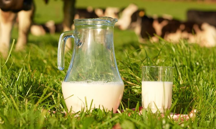  La leche, fortificada con vitamina D