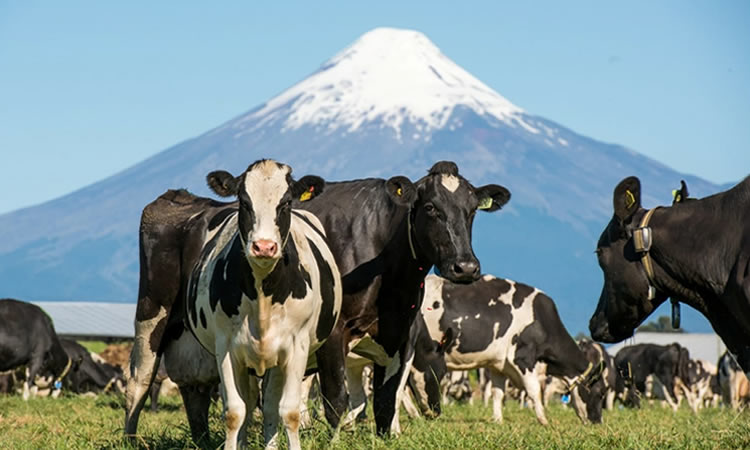 Opinión: Los desafíos y amenazas de la agricultura de hoy: esquivando la tormenta perfecta