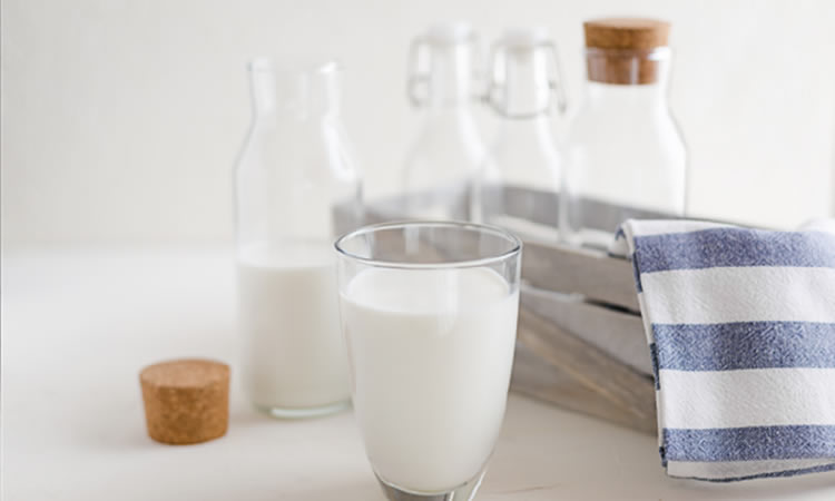 Leve descenso en el índice de precios de los lácteos de FAO en julio
