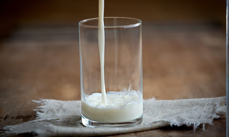 Estados Unidos redujo a 0 % arancel para importación de productos lácteos para niños