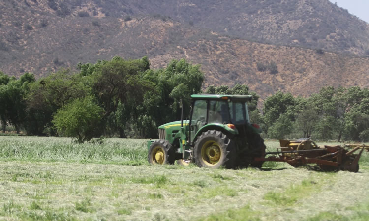 Opinión: Estabilidad por y para el agro