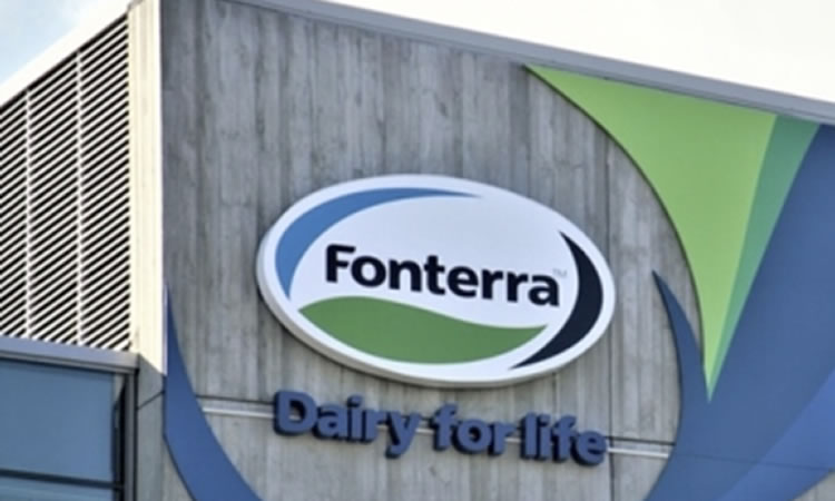 La leche en polvo entera volvió a caer con fuerza en Fonterra