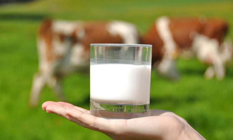 Primer estudio a gran escala determinará el consumo de lácteos en los adultos chilenos