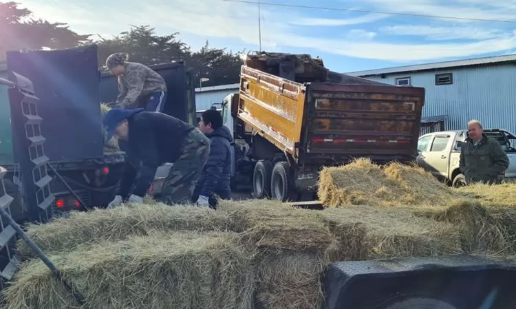 Agrollanquihue organiza ayuda para agricultores afectados por fuertes nevazones