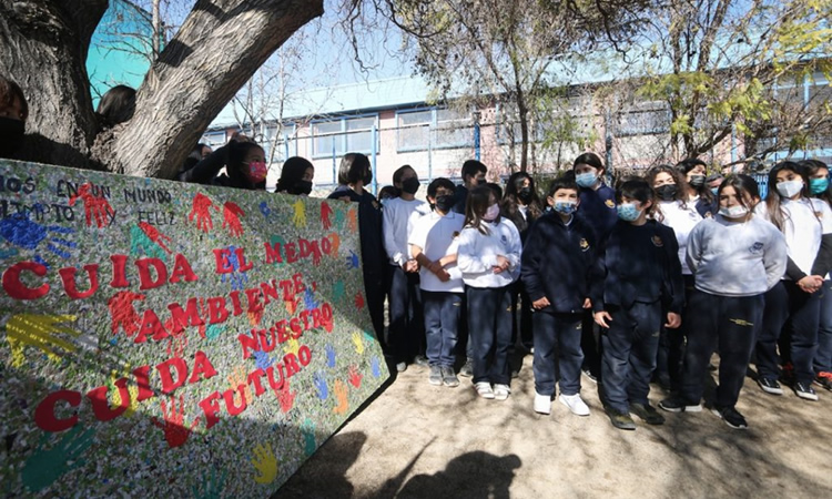 Escolares se movilizarán para recuperar 15 millones de envases lácteos