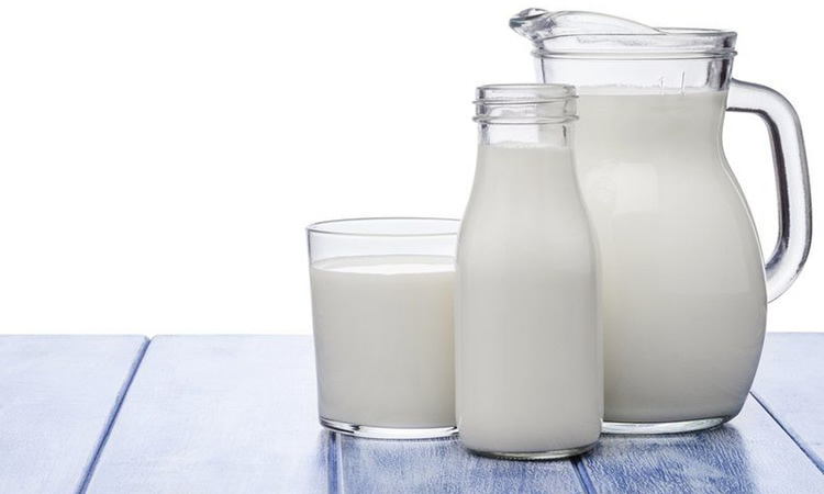 Bebidas vegetales: ¿Entregan la misma cantidad de proteínas que la leche?