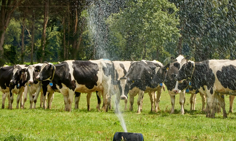 Surge necesidad de crear “mesa del agua” para abordar urgencias del sector agrícola y ganadero