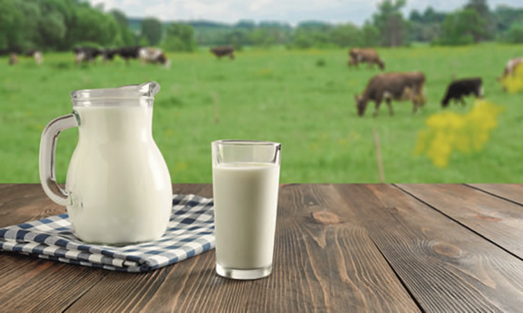 En agosto, el IPC lácteos muestra un alza para el queso y una caída en postres y leche en polvo 