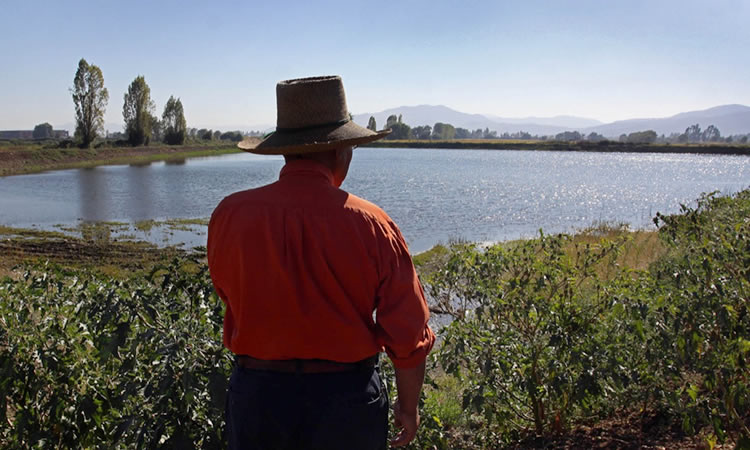 Agricultura ingresa indicación sustitutiva a proyecto de modificación de Ley de Riego  