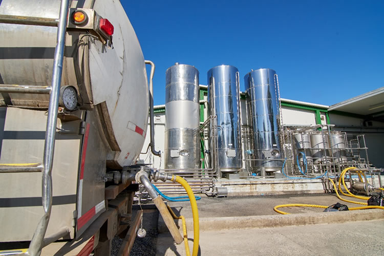 Compra de leche cruda por la industria láctea presenta un compartimiento mayormente a la baja hasta agosto 