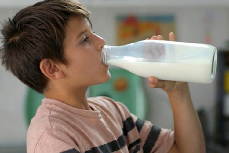 Día Mundial de la Alimentación: La leche: un alimento completo en una dieta balanceada