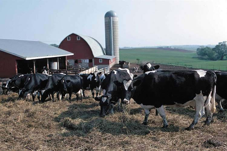 La producción de leche de EE. UU. volvió a aumentar en septiembre