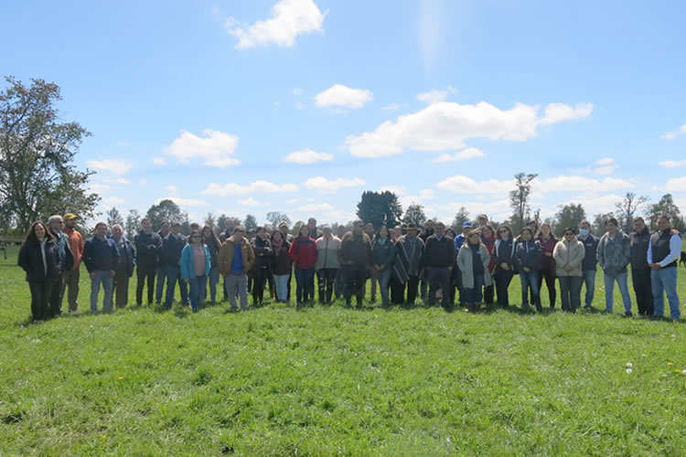 Los Lagos: Gran participación en Día de Campo del Programa de Mejoramiento Genético