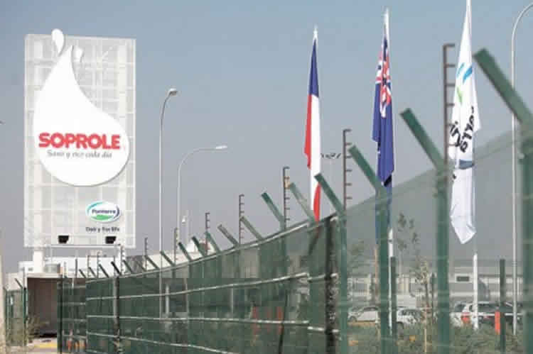 Venta de Soprole en recta final: cuatro empresas extranjeras interesadas en comprar firma chilena a Fonterra