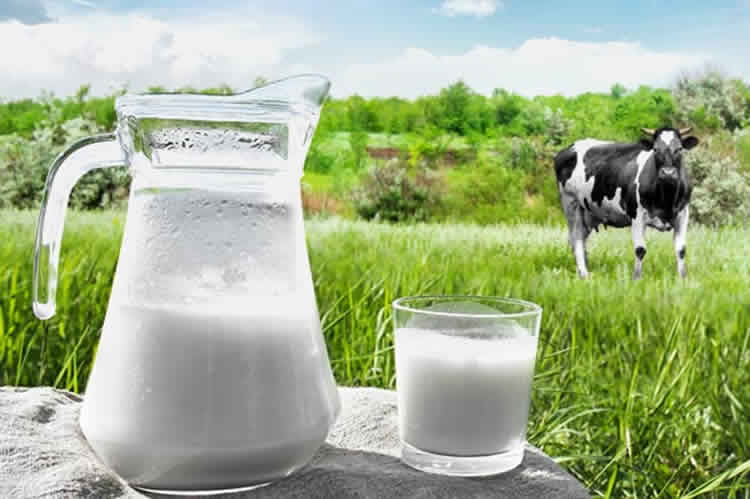 Precios de los lácteos de la FAO registra cuarta caída mensual consecutiva