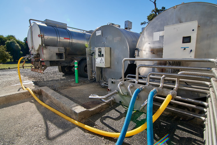 Nueva caída mensual de la recepción de leche cruda, bajó un 3,3% en septiembre 