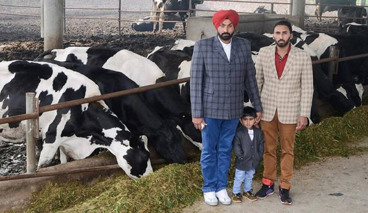 Los pronósticos para el mayor país productor de leche del mundo