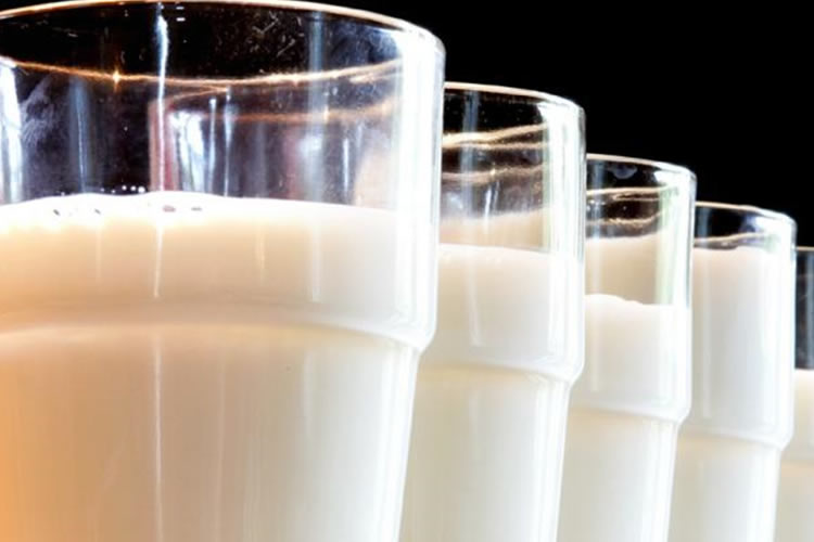 EE.UU: 4 tendencias mundiales que impulsan la demanda de productos lácteos