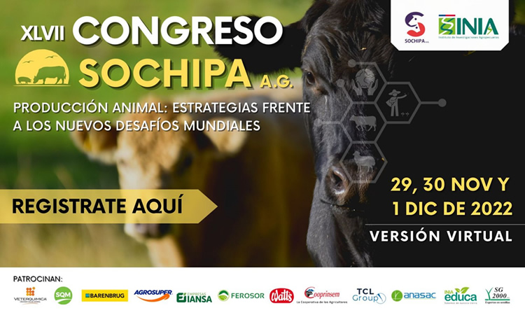 Congreso SOCHIPA: Destacados expertos abordarán la producción animal y nuevos desafíos mundiales