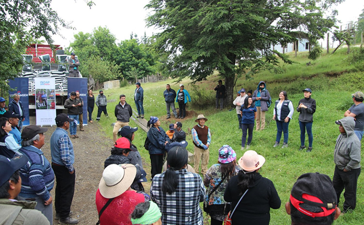 La Cooperativa de los Agricultores se hizo parte del plan “Siembra por Chile”