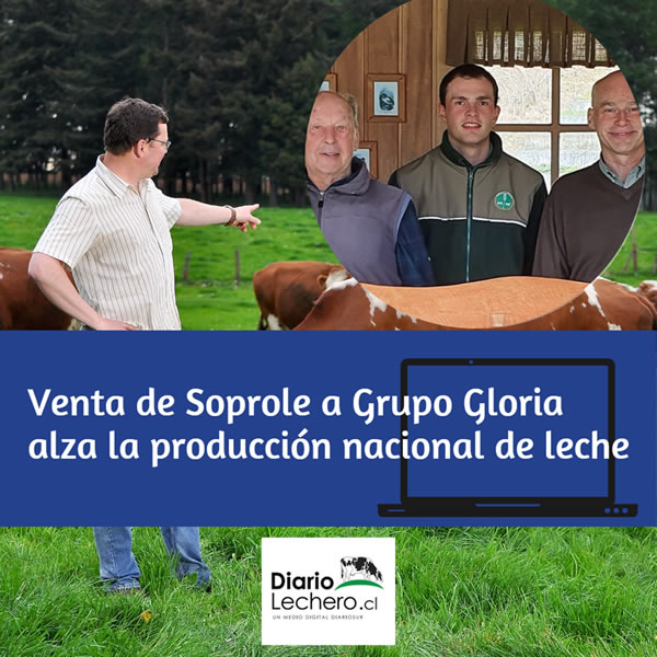 Venta de Soprole a Grupo Gloria alza la producción nacional de leche