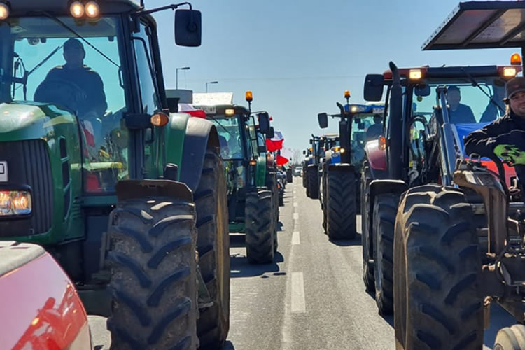 Agrollanquihue valora el acuerdo alcanzado entre camioneros y Gobierno