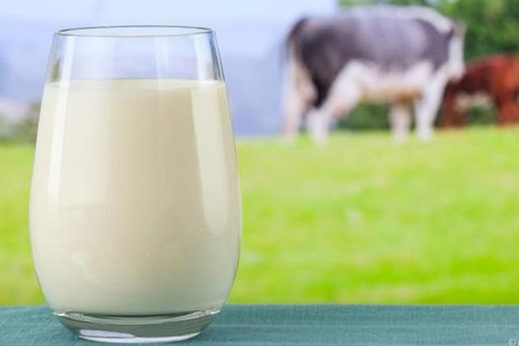 Noviembre supone un quinto descenso mensual consecutivo para el índice de precios de los productos lácteos de FAO 