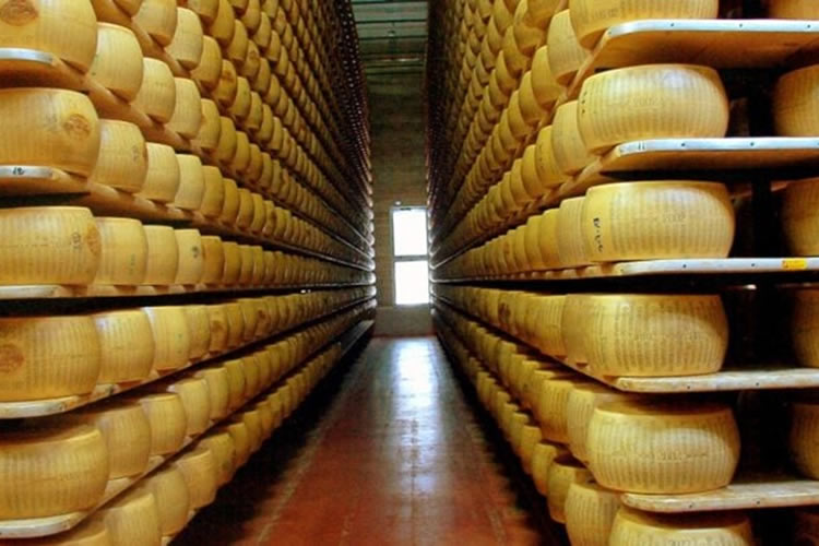 Productores de lácteos: el queso parmesano producido en Chile está en riesgo por el nuevo acuerdo con la Unión Europea