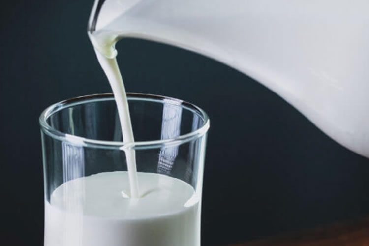 La leche entera aporta proteínas de valor biológico