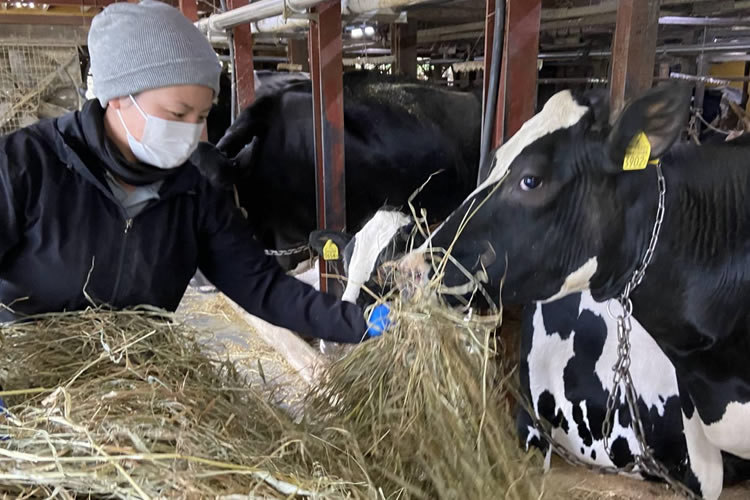 Los productores de leche de Japón se ven presionados a medida que los costos se disparan