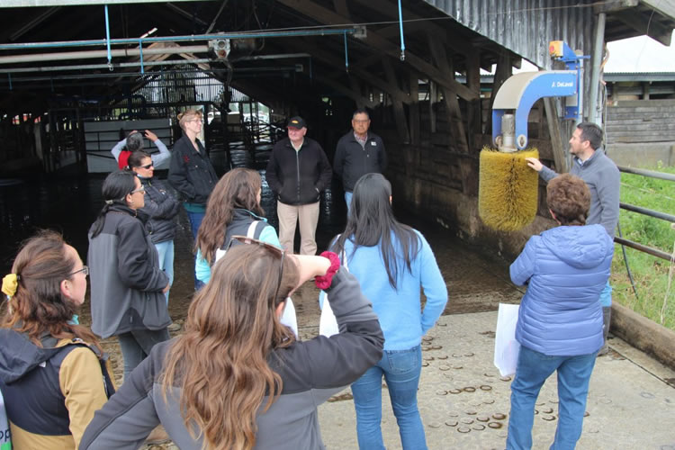 Productores lecheros conocen nuevas tecnologías para mejorar el bienestar animal en sus rebaños
