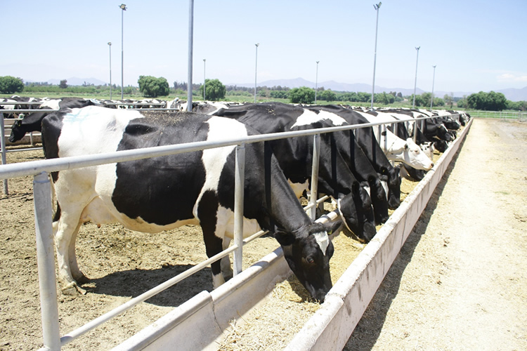 Rubros agrícolas vislumbran un complejo escenario para el 2023