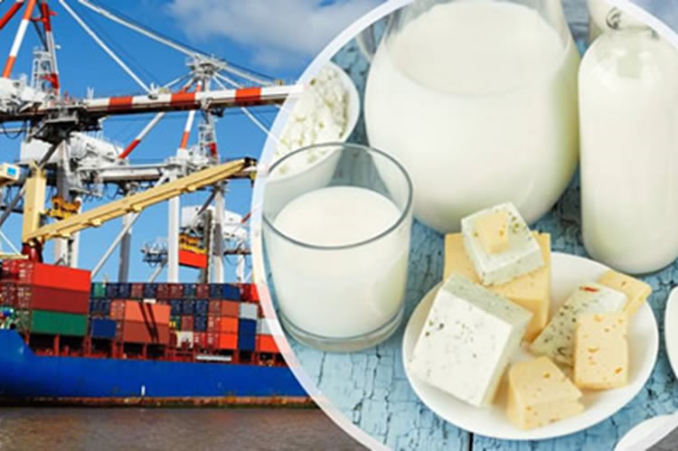 Valor de las exportaciones de productos lácteos crece 34,1% a noviembre y supera los US$ 240 millones 