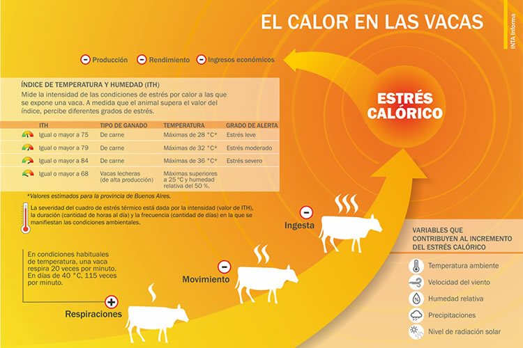 Así combaten los productores de leche argentinos el calor del verano 