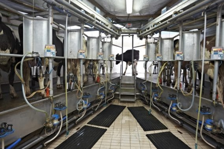 El precio de la leche subió un 62% en un año en España