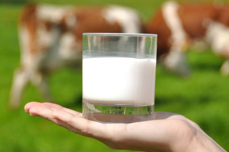 Beneficios principales de la leche para la salud de las personas 