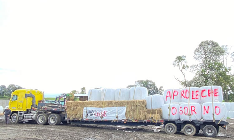 Aproleche Osorno realiza donaciones a productores afectados por los incendios forestales