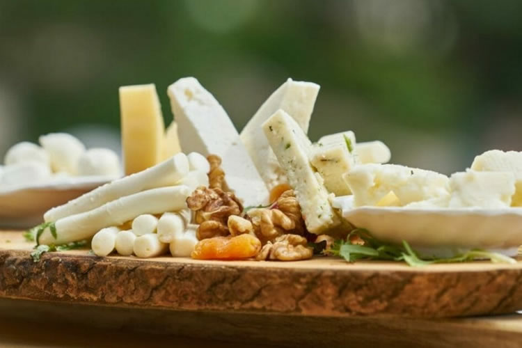 ¿Comer queso es bueno para nuestra salud?