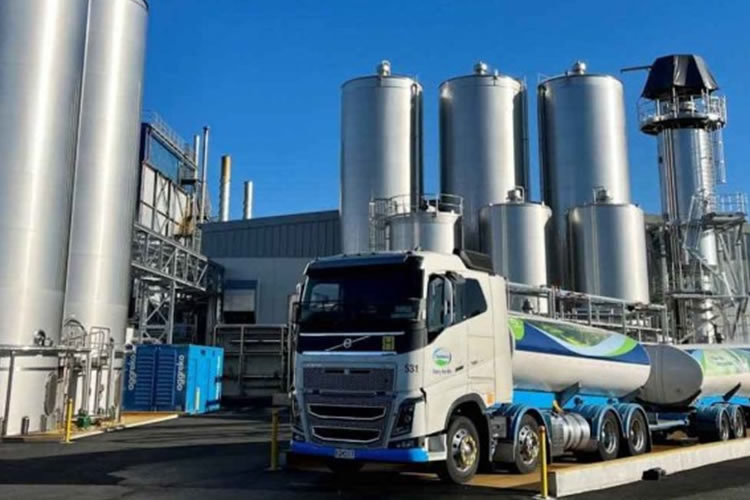 Remate de Fonterra concluye a la baja en febrero