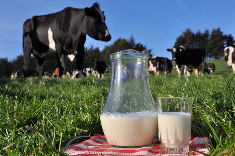 Destacan potencial exportador para el sector lácteo con la entrada al TPP-11