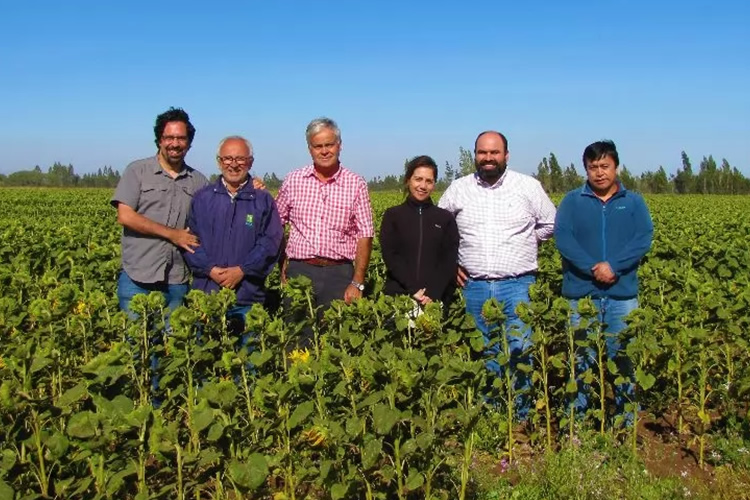 INIA y Nestlé Chile firman inédito convenio para el desarrollo de prácticas regenerativas