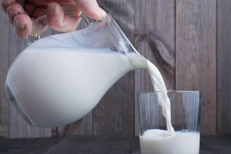 “El consumo de lácteos es esencial desde el período fetal y en todas las etapas de la vida”